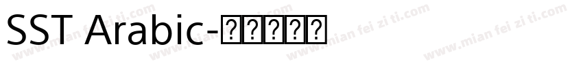 SST Arabic字体转换